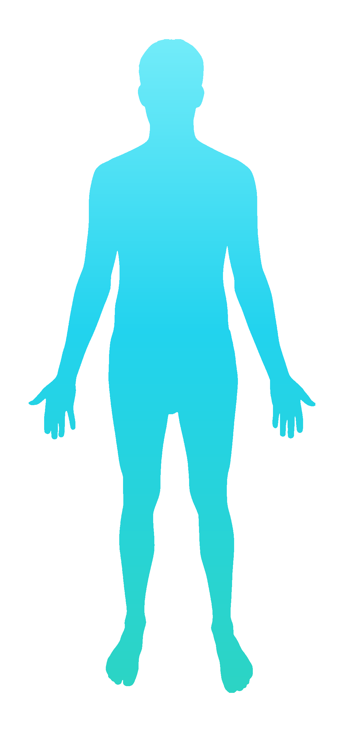 Human body